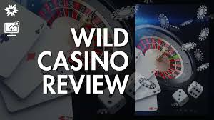 Full Review of Wild Casino